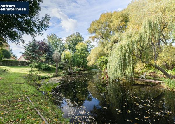 Pálffyho poľovnícke panstvo s vlastným lesom a jazerom